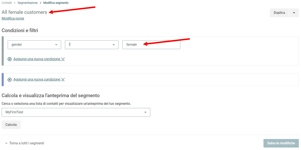 Segment_my_contact_lists_IT_2.PNG