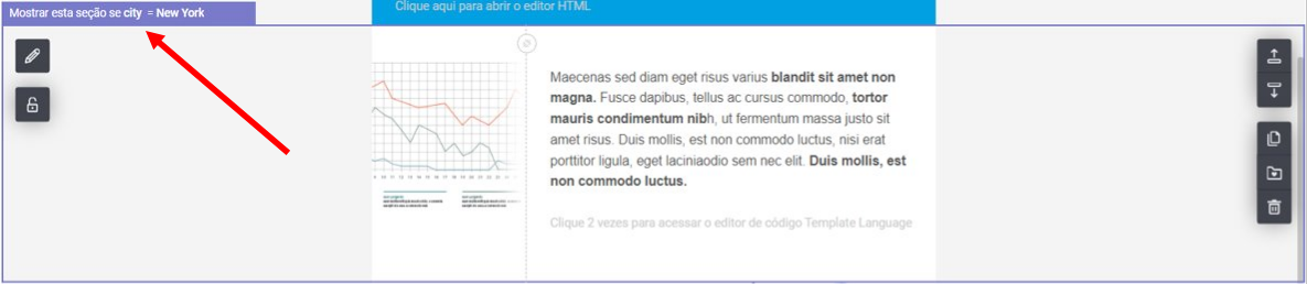 Email_Editor_for_Transactional_PT_12.PNG