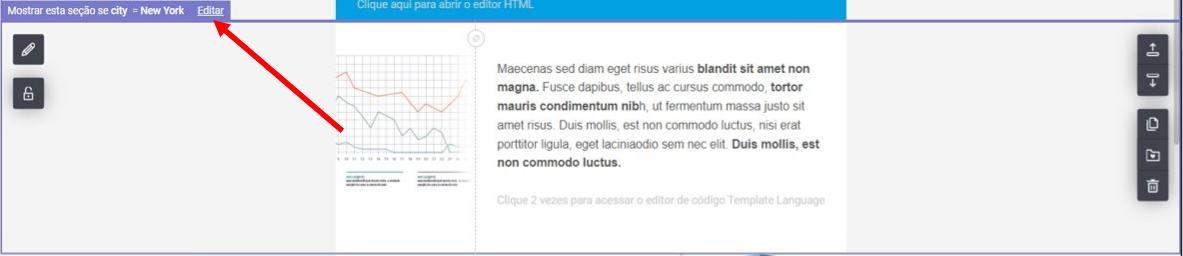 Email_Editor_for_Transactional_PT_13.PNG