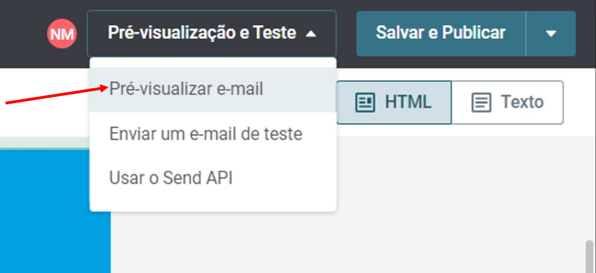 Email_Editor_for_Transactional_PT_15.PNG