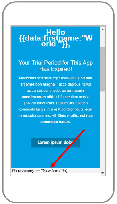 Email_Editor_for_Transactional_PT_17.PNG