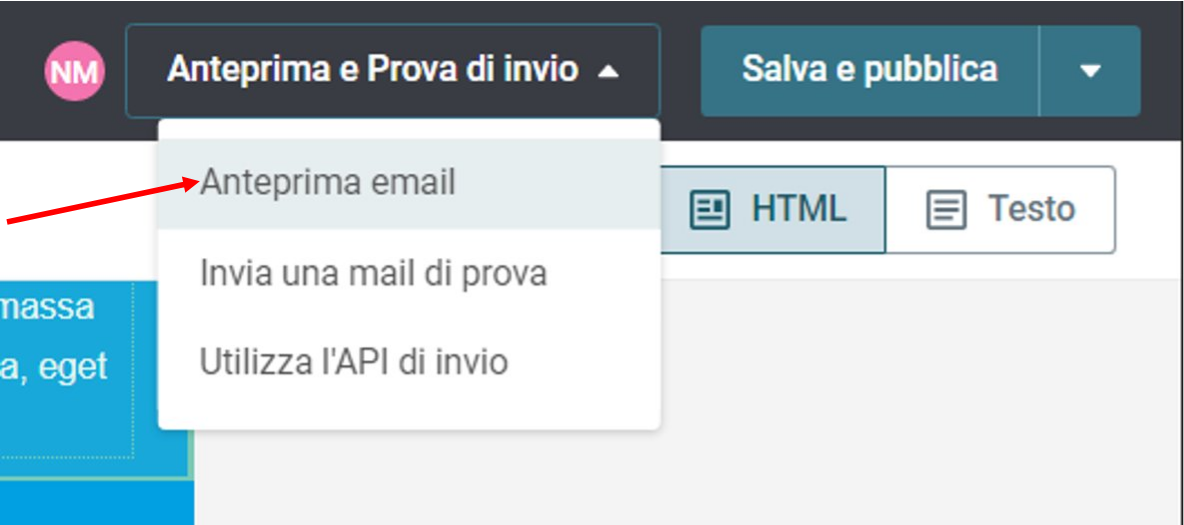 Email_Editor_for_Transactional_IT_15.PNG