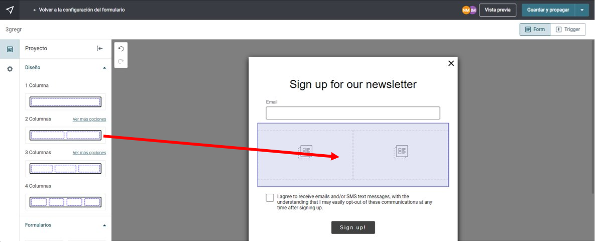 Form_ES_59.PNG
