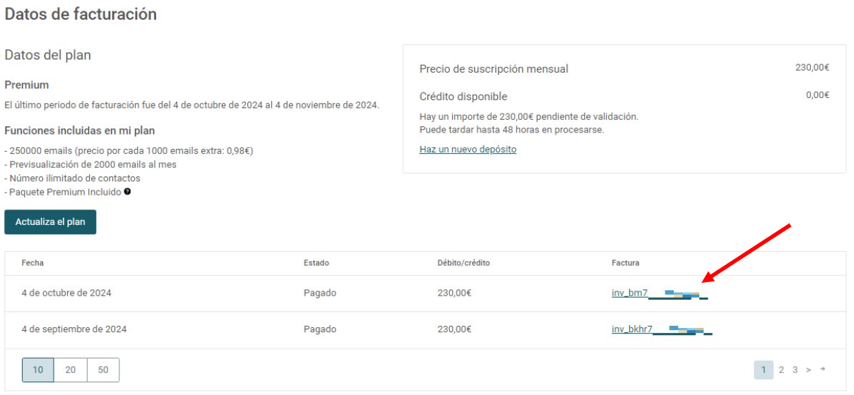 Invoice Management ES 2.PNG
