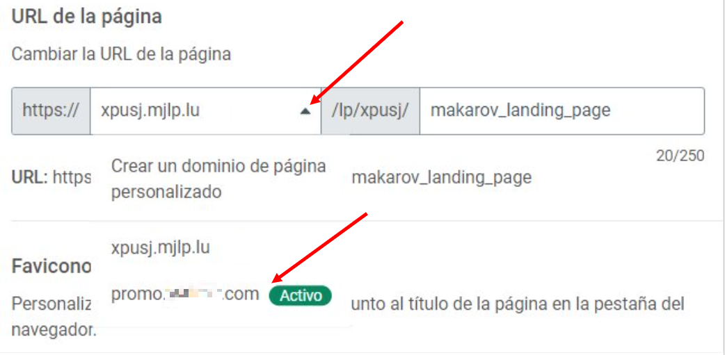 landing pages ES 74.PNG