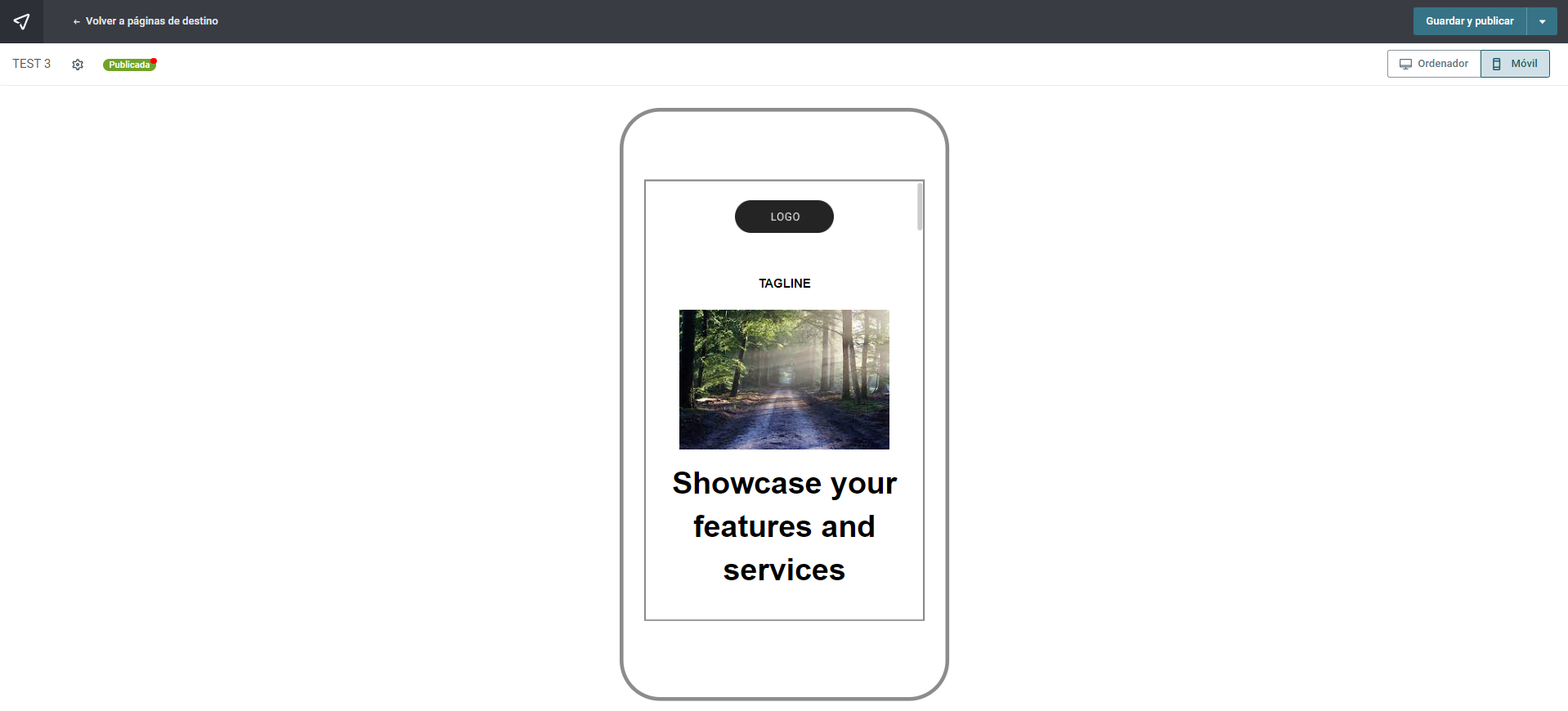 landing pages ES 67.PNG