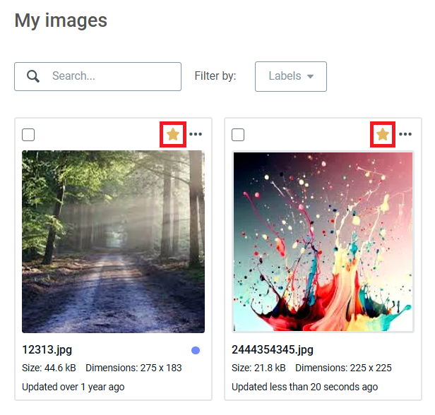 Image Gallery EN 8.PNG