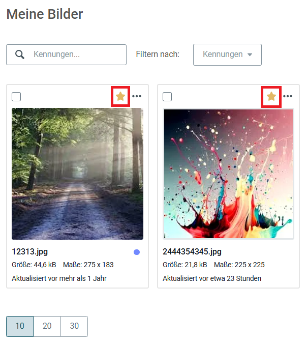 Image Gallery DE 10.PNG