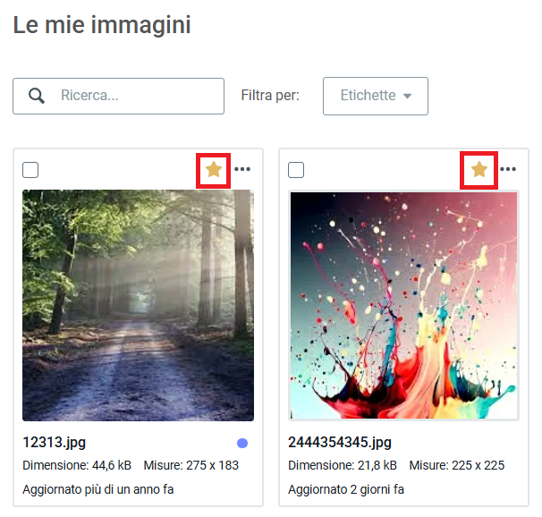 Image Gallery IT 10.PNG