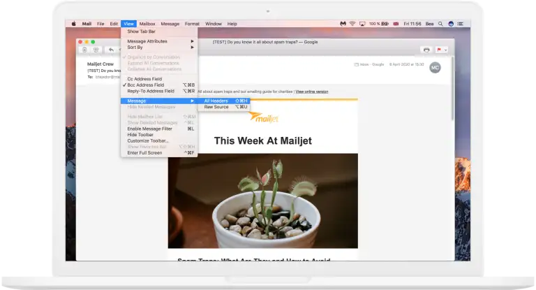 5.webp